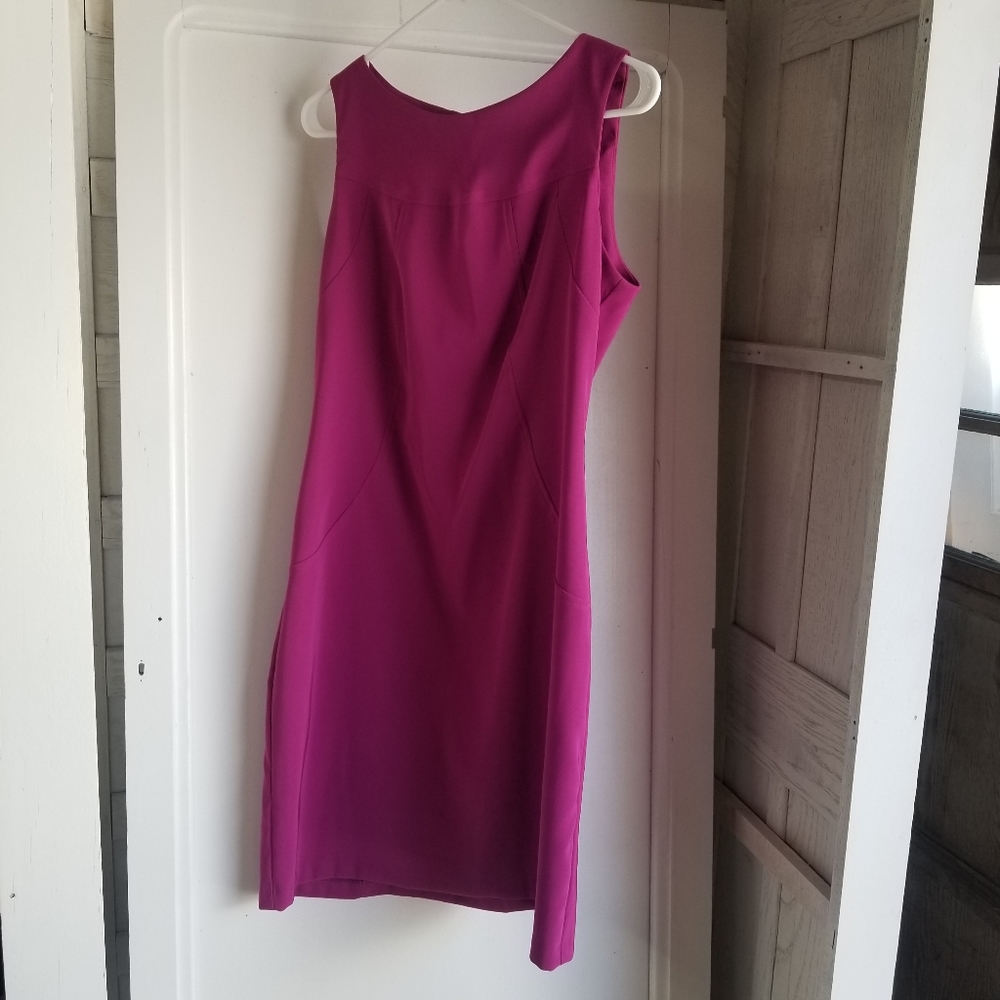 Sleeveless Sheath Dress W 10